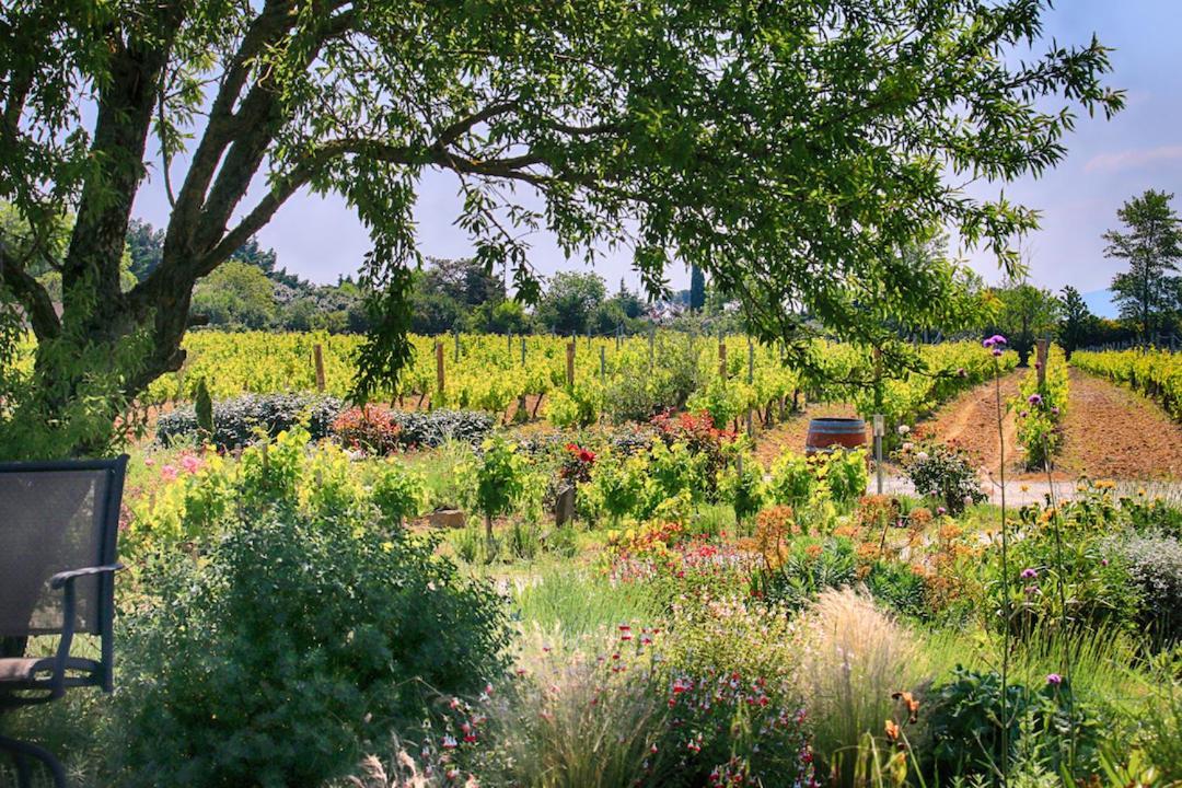 O'Vineyards B&B Carcassonne Villemoustaussou Экстерьер фото